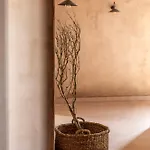 Вилла Terracotta Fiscardo *